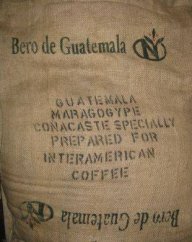 Guatemala Maragogype SHG