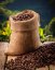 Dominican Republic - Barahona - Vaha: 500g