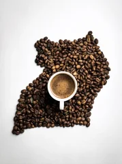 Uganda Bugishu