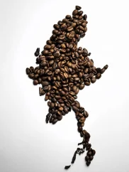 Barma - Myanmar, káva arabica