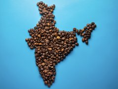 India Sherry AB/AA