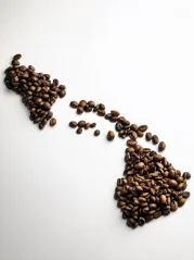 Hawaii kona extra fancy 250g/500g/1000g