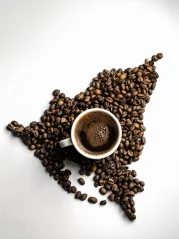 Nicaragua SHG