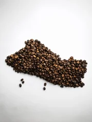 Salvador Peaberry