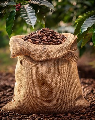 Ecuador Galapagos Ultramares - Gramáž: 250g