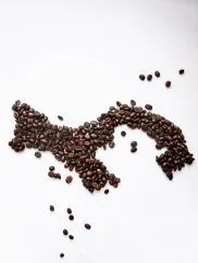 Panama - Finca Lerida