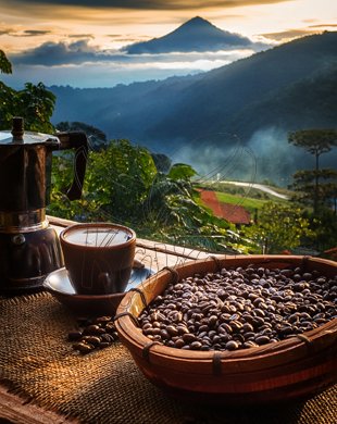 Ecuador - Gramáž: 1000g