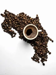 Costa Rica La Pastora Tarrazu 500g/1000g