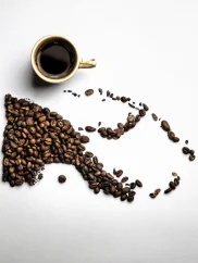 Papua New Guinea Sigri A