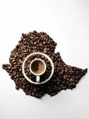 Ethiopia Sidamo 500g/1000g