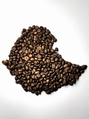 Ethiopia Yirgacheffe 500g/1000g