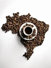 Brasil Fazenda Lagoa
