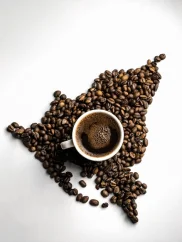Nicaragua SHG 500g/1000g