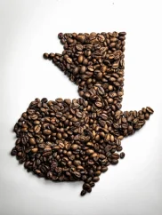 Guatemala Tres Maria SHG 500g/1000g