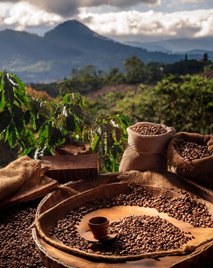 Burundi - Gramáž: 1000g