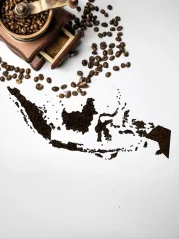 Indonesia Java Jampit