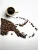 Papua New Guinea Sigri A