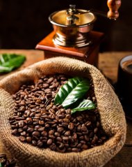 Peru organic