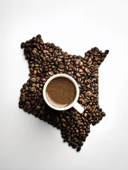 Kenya AA 500g/1000g