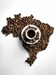 Brasil Fazenda Lagoa