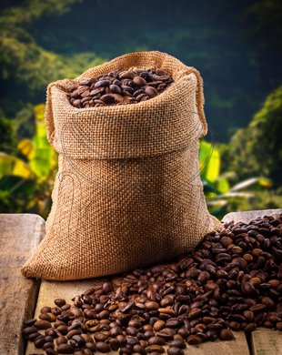 Dominican Republic - Barahona - Vaha: 500g