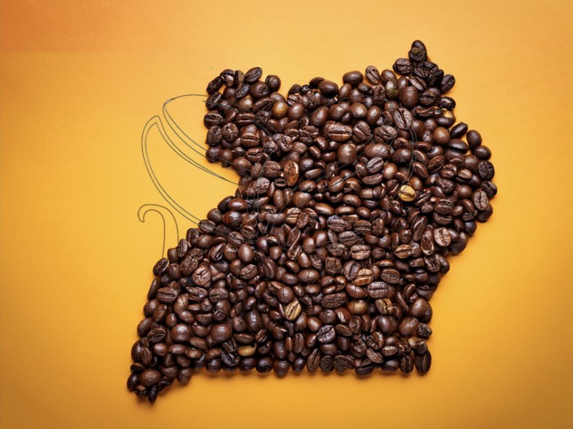 Uganda Robusta - Gramáž: 500g