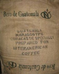 Guatemala Maragogype SHG