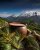 Colombia Swiss Decaf