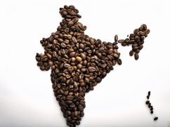 India Kapi Royal