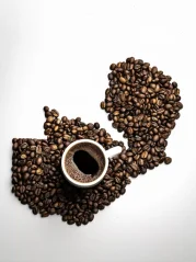 Zambia AA