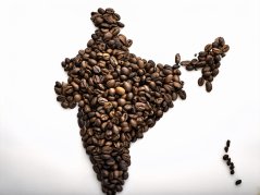 India Kapi Royal